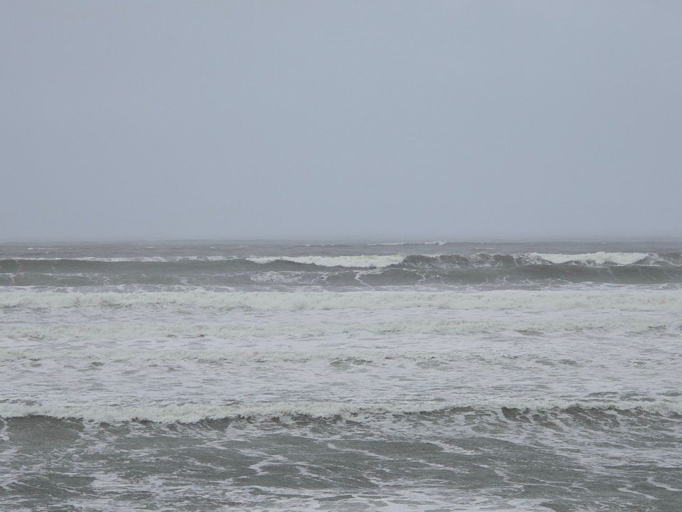 Carousel picture 4-5ft